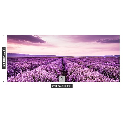 Wallpaper Blooming lavender