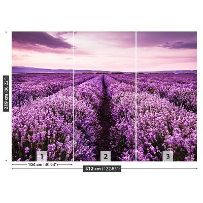 Wallpaper Blooming lavender