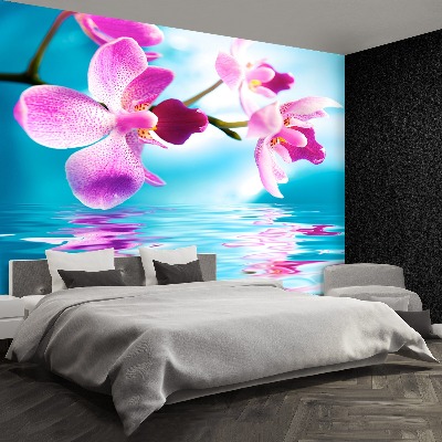 Wallpaper Orchid water