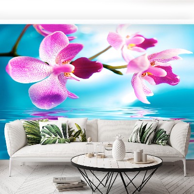 Wallpaper Orchid water