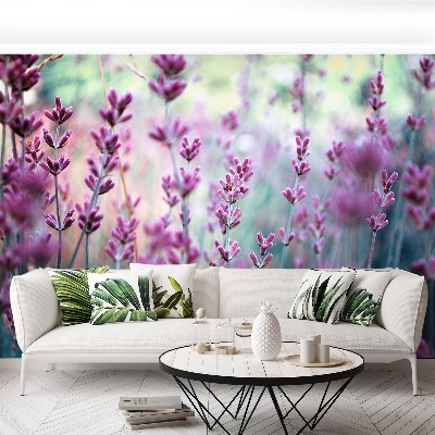 Wallpaper Lavender green