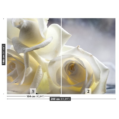 Wallpaper White roses