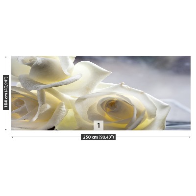 Wallpaper White roses