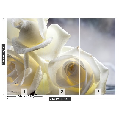 Wallpaper White roses