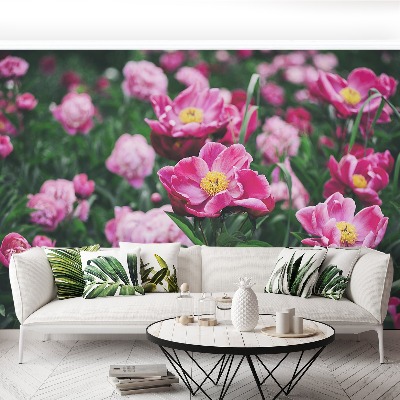 Wallpaper Pink peonies