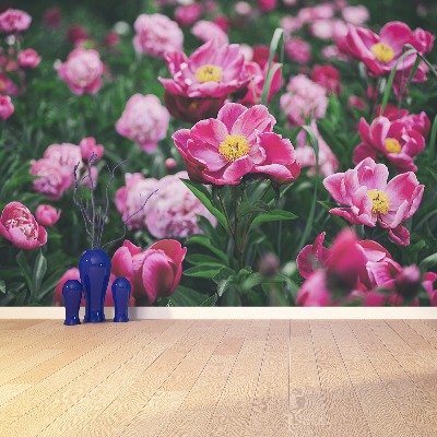 Wallpaper Pink peonies