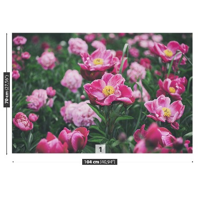 Wallpaper Pink peonies