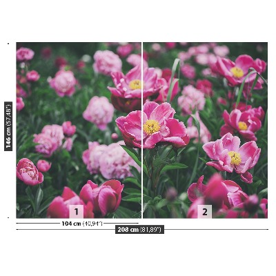 Wallpaper Pink peonies