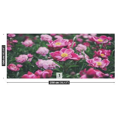 Wallpaper Pink peonies