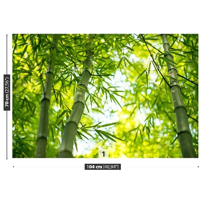 Wallpaper Bamboo branch