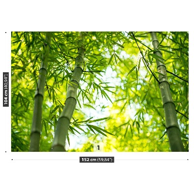 Wallpaper Bamboo branch