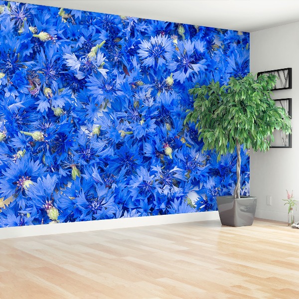 Wallpaper Cornflowers blue