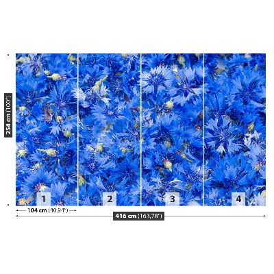 Wallpaper Cornflowers blue