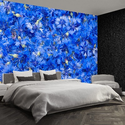 Wallpaper Cornflowers blue