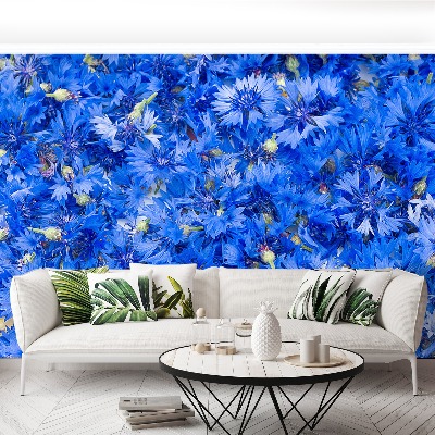 Wallpaper Cornflowers blue