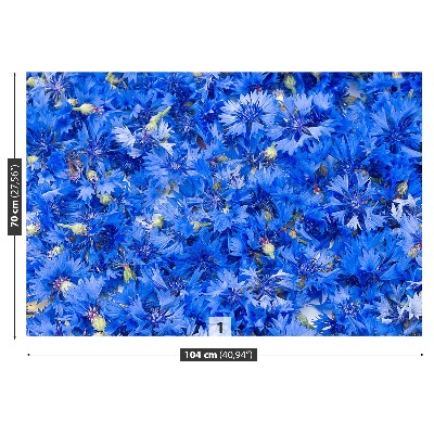 Wallpaper Cornflowers blue