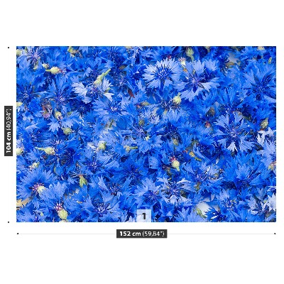 Wallpaper Cornflowers blue