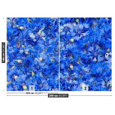 Wallpaper Cornflowers blue