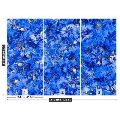 Wallpaper Cornflowers blue