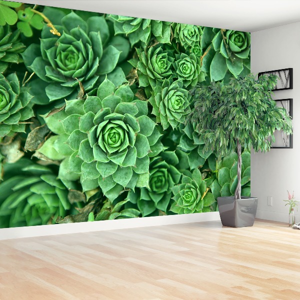 Wallpaper Sedum green