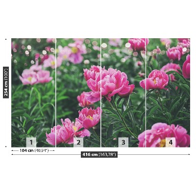 Wallpaper Pink peonies