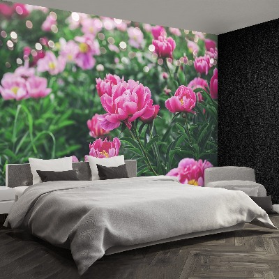 Wallpaper Pink peonies