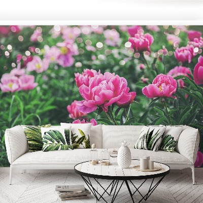 Wallpaper Pink peonies