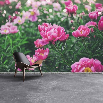 Wallpaper Pink peonies