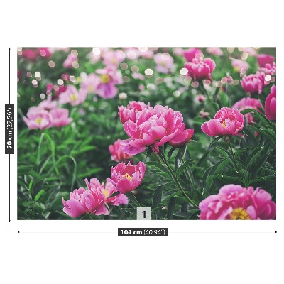 Wallpaper Pink peonies