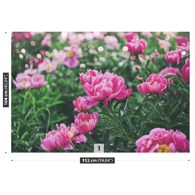 Wallpaper Pink peonies