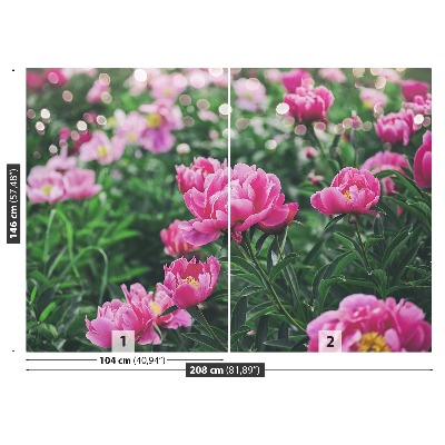 Wallpaper Pink peonies