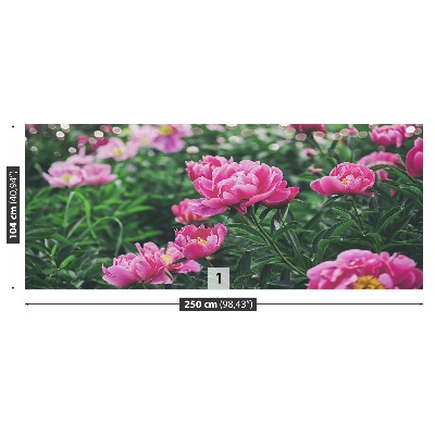 Wallpaper Pink peonies