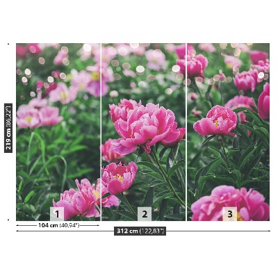 Wallpaper Pink peonies