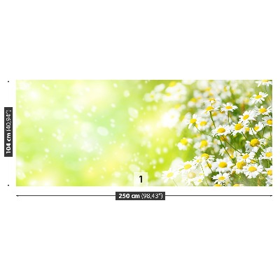 Wallpaper Camomile