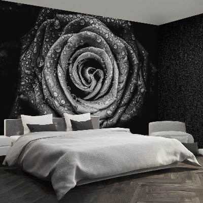 Wallpaper Rose black