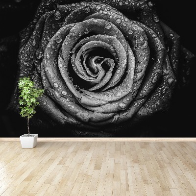 Wallpaper Rose black