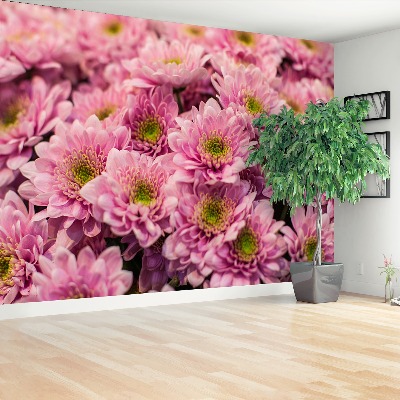 Wallpaper Pink chrysanthemums