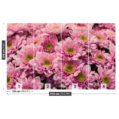 Wallpaper Pink chrysanthemums