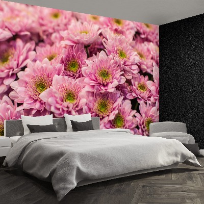 Wallpaper Pink chrysanthemums