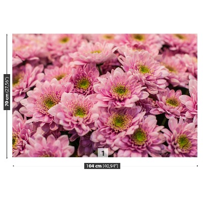 Wallpaper Pink chrysanthemums