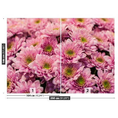 Wallpaper Pink chrysanthemums