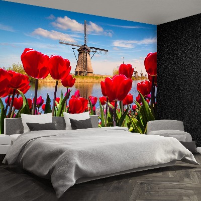 Wallpaper Netherlands windmills