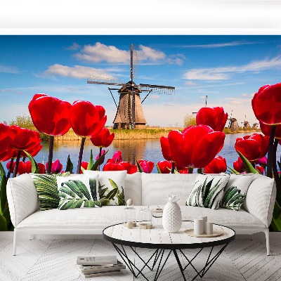 Wallpaper Netherlands windmills