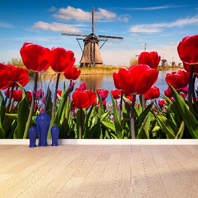 Wallpaper Netherlands windmills