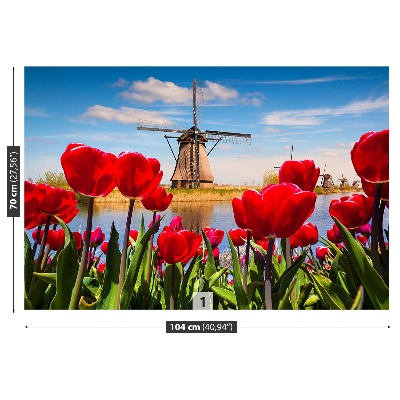 Wallpaper Netherlands windmills