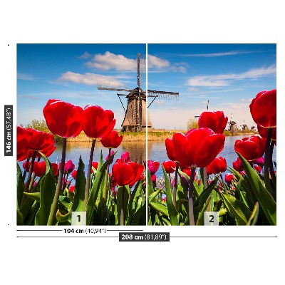 Wallpaper Netherlands windmills