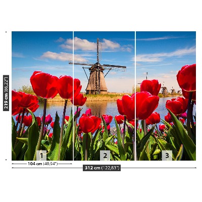 Wallpaper Netherlands windmills