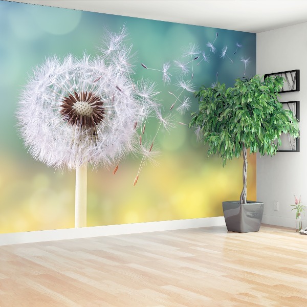 Wallpaper Dandelion