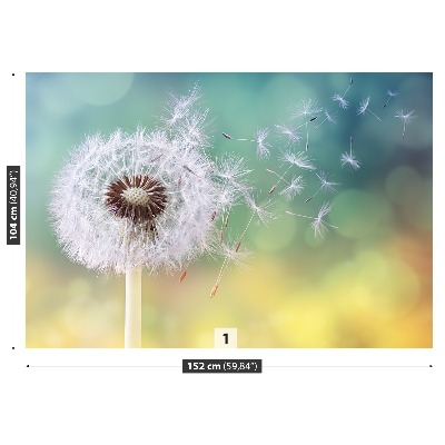 Wallpaper Dandelion