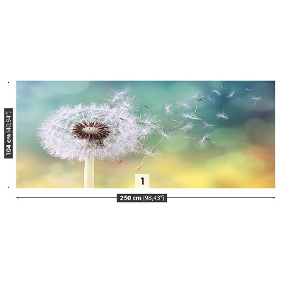 Wallpaper Dandelion